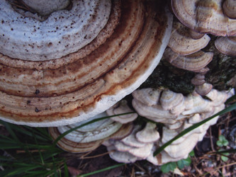 Similar image 22222376