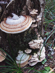 Similar image 22222377