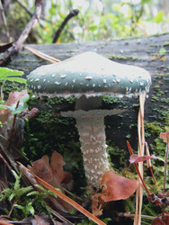 Similar image 22222379