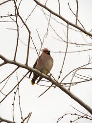 Similar image 22222885