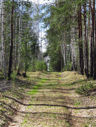 Similar image 22224082