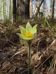 Similar image 22222887