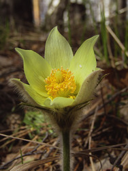 Similar image 22222888