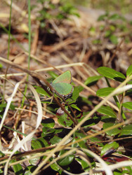 Similar image 22222381