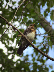 Similar image 22222890