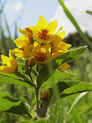 Similar image 22222382