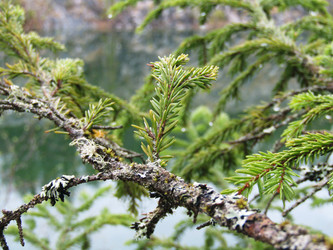 Similar image 22222383