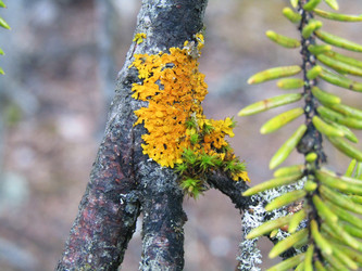 Similar image 22222385