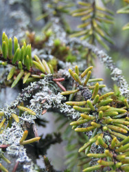 Similar image 22222386