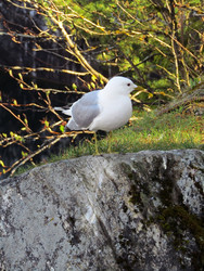 Similar image 22222893