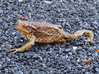 Similar image 22223920