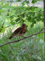 Similar image 22222894