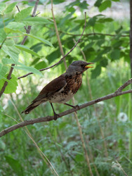 Similar image 22222895