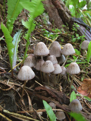 Similar image 22222387