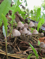 Similar image 22222388