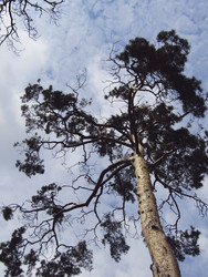 Similar image 22222896