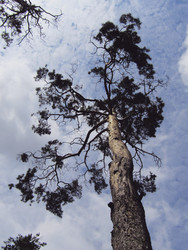 Similar image 22222897