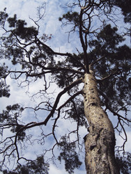 Similar image 22222898