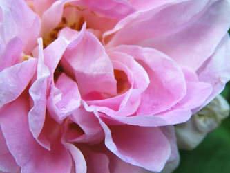 Similar image 22222389