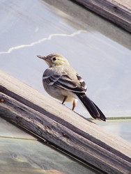 Similar image 22222901