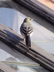 Similar image 22222902