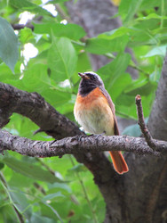 Similar image 22222903