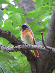 Similar image 22222904