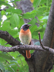 Similar image 22222905