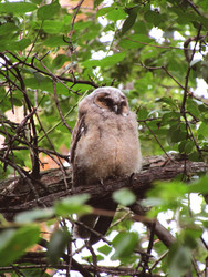 Similar image 22222906