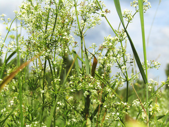 Similar image 22222390