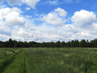 Similar image 22224085