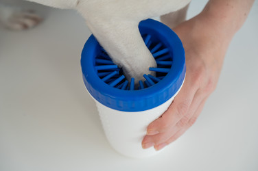 Similar image 22226081