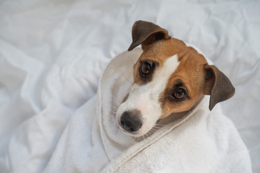 Similar image 22226083