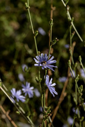 Similar image 22221900