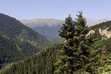 Similar image 22221901