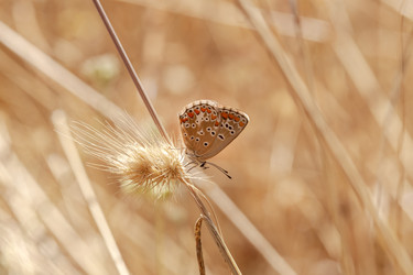 Similar image 22221902