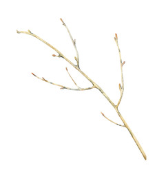 Similar image 22222139