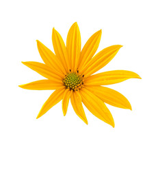 Similar image 22221906