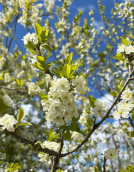 Similar image 22221907