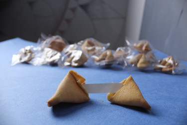 Similar image 22225888