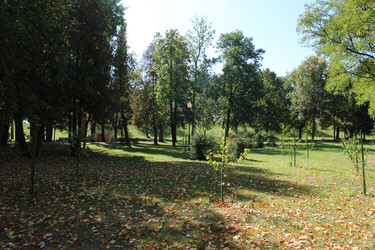 Similar image 22225892