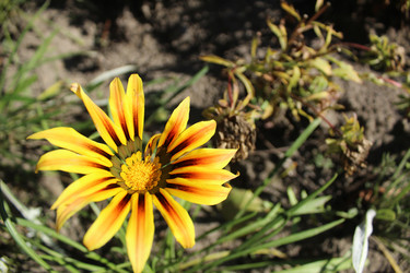 Similar image 22225893