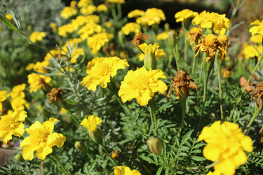 Similar image 22225895