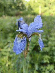 Similar image 22222494