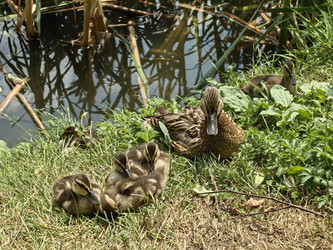 Similar image 22222496