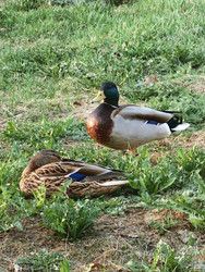 Similar image 22222497