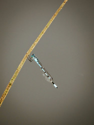 Similar image 22221916