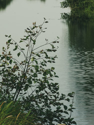 Similar image 22221918