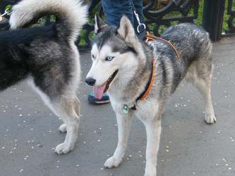 Similar image 22222143