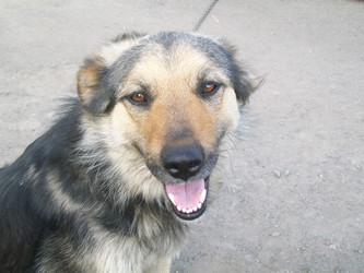 Similar image 22222150